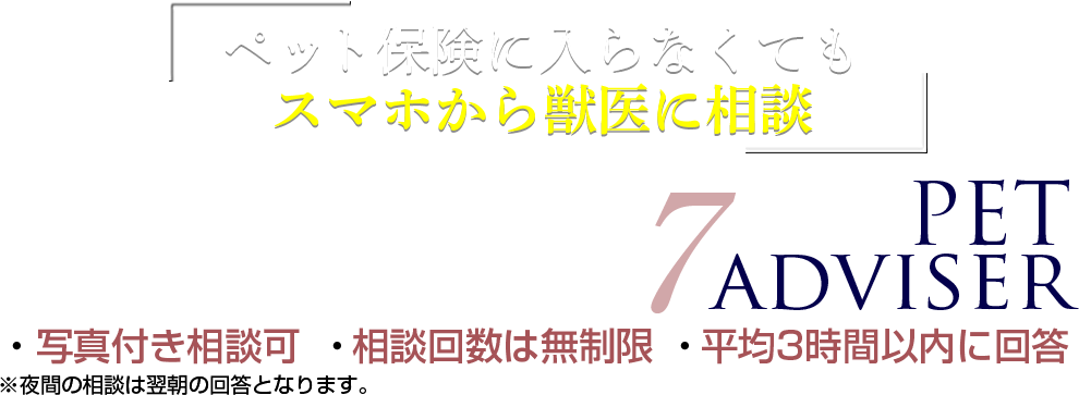 ペット保険に入らなくてもスマホから獣医に相談